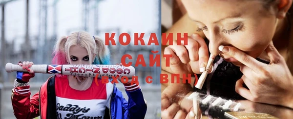 тгк Михайловск