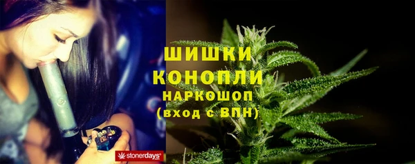 гашик Михайлов