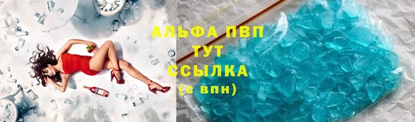 гашик Михайлов