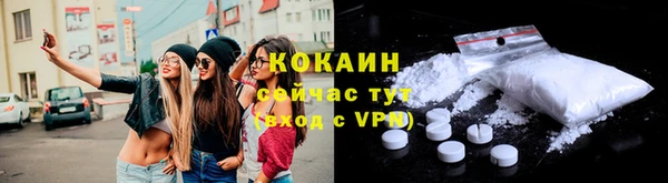 тгк Михайловск