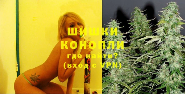 гашик Михайлов