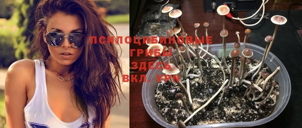 бутират Михайловка