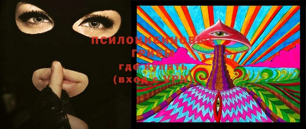 тгк Михайловск