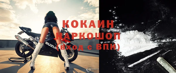 гашик Михайлов