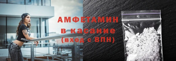 гашик Михайлов