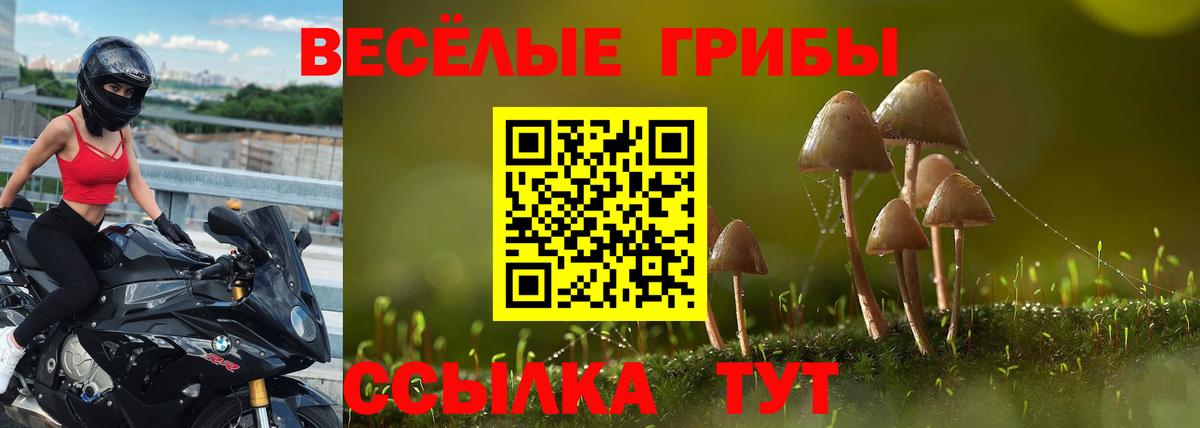 Псилоцибиновые грибы Cubensis  наркотики  Псилоцибиновые грибы мицелий  Ухта  Вход с VPN 